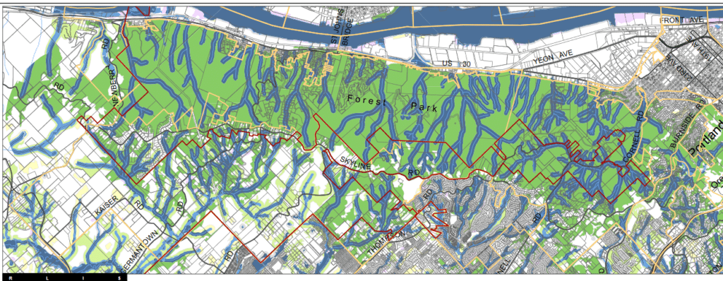 portland neighborhood guide, forest park