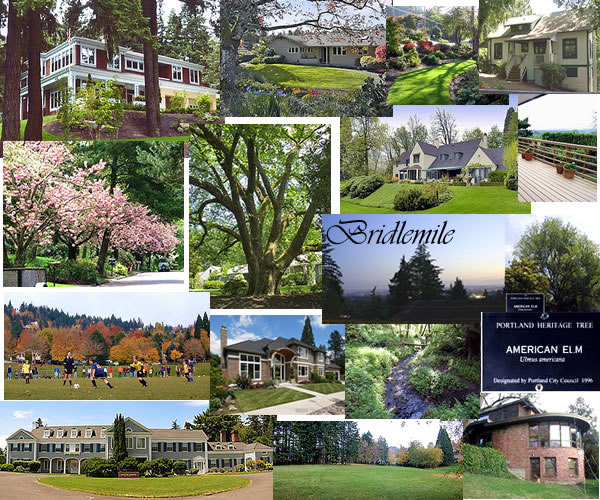 Portland neighborhood guide, bridlemile