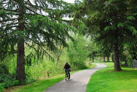 fanno creek trail