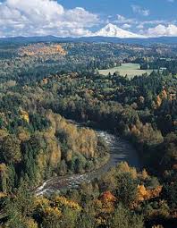 Sandy Oregon is mostly forest 