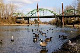 Clackamette Park is where the Willamette and Clackamas rivers some together