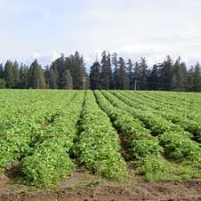 farmland troutdale