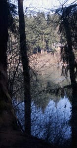 Molalla Forest Trail ending at Willamette River