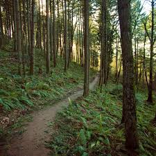 mt talbert nature park trails