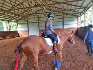 RidingLessons stables