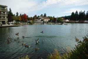 Lake_Oswego_lakewood neighborhood