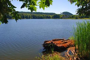 Vernonia lake