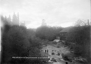 Willamina River