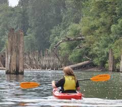 canoing on willamette