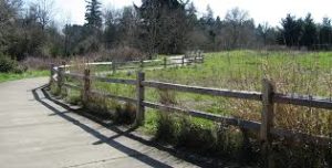 fanno creek trail 