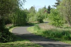 fanno creek trail