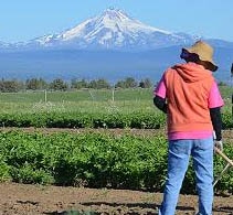 Organic farm in Sheridan