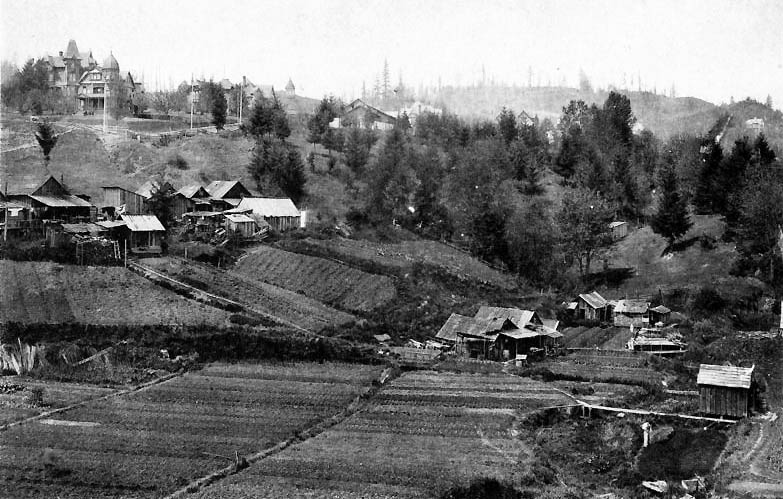 farmland going up hill in portland