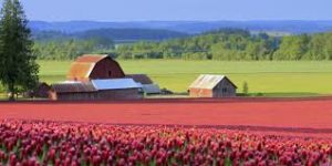 farms around Tigard