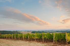 j wrigley vineyards
