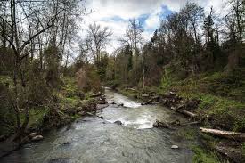 Johnson creek natural area