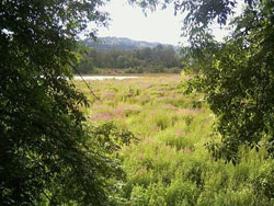 oaks bottom wildlife refuge