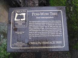 pow wow tree