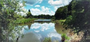 summer lake in Tigard