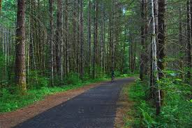 bANKS VERNONIA TRAIL