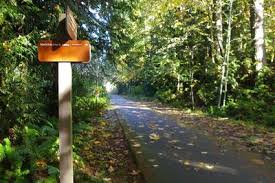 banks vernonia trail