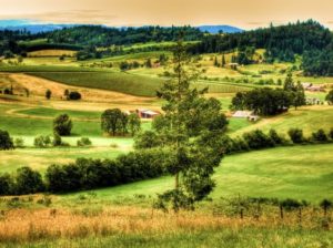 mcminneville farmland