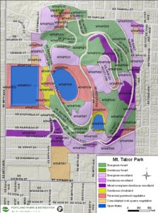 mt tabor map