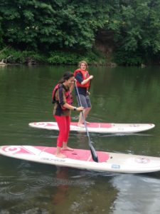 paddle board cook park