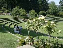 portland rose garden