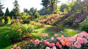 washington park rose garden